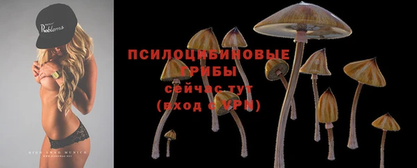 мяу мяу кристалл Гусь-Хрустальный