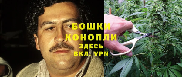 мяу мяу кристалл Гусь-Хрустальный