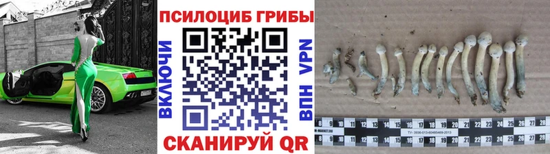 магазин продажи наркотиков Мытищи ссылка на мегу ТОР Псилоцибиновые грибы ЛСД