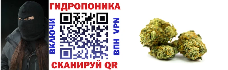 МАРИХУАНА конопля  дарнет шоп  Мытищи 